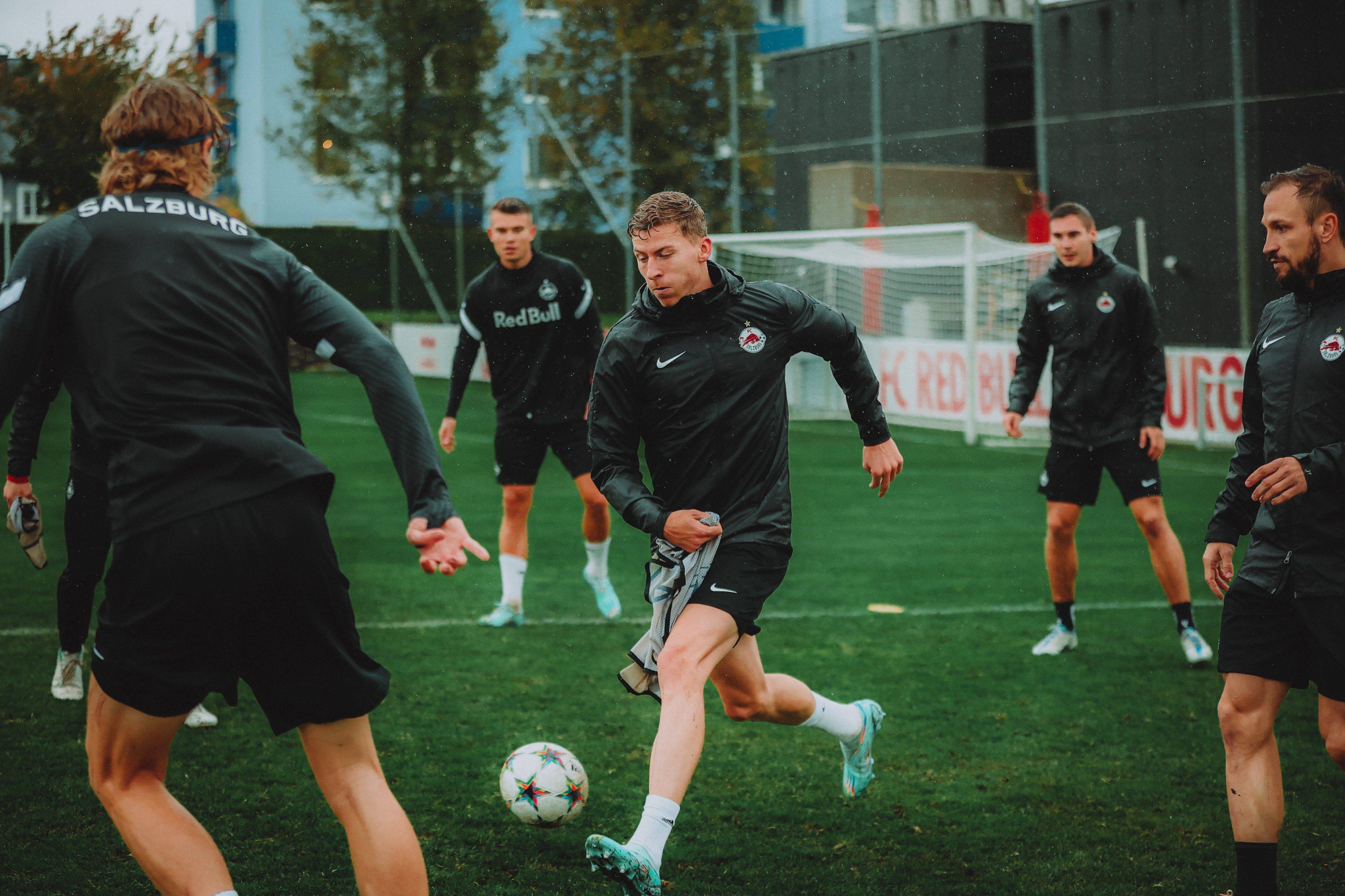 国际比赛日孟菲斯灰熊备战欧冠，门线救险细节曝光，赛场秩序良好，数据趋势出现新变化的简单介绍